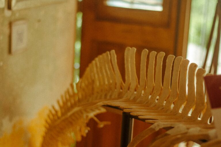 Koncerty Chopinowskie online – nowy sposób na słuchanie muzyki