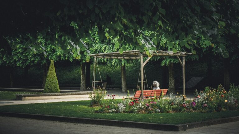 Fortepian w plenerze – wpływ otwartej przestrzeni na brzmienie muzyki Chopina